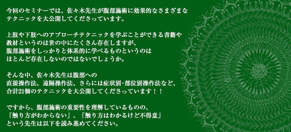 佐々木マニピュレーション法セミナーＤＶＤ＜腹部施術・内臓調整編